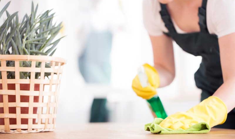 cropped picture of a professional disinfecting a surface