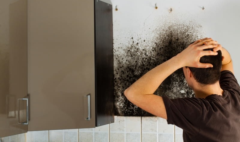 young man looking tensed about mould in his house