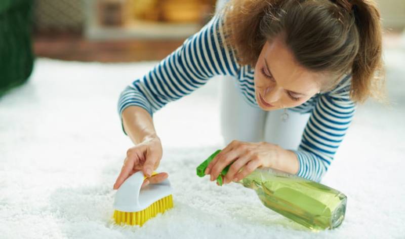 Woman in check t-shirt holding bottle and brush in her hand scrubbing carpet