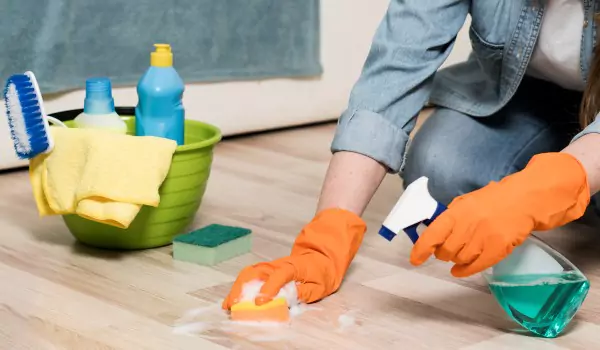 cropped picture of a person cleaning floor stain
