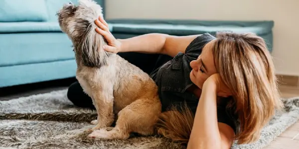 Woman is playing with her pet dog on carpet.
