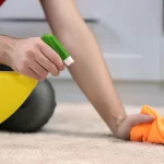 Prevent Halloween Stains on Carpets