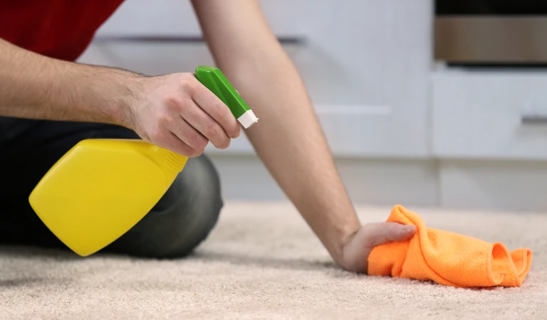 Prevent Halloween Stains on Carpets