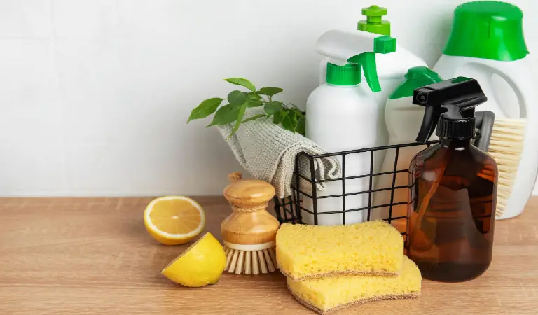 Eco friendly cleaning products promoting sustainable housekeeping practices