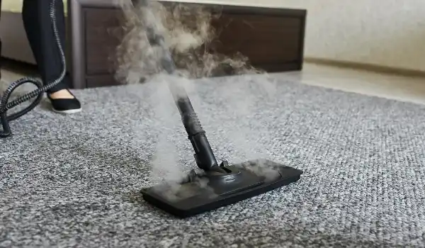 Cleaning service company employee removing dirt from carpet in flat with professional steam cleaner equipment close up