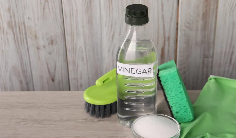 Natural cleaning products vinegar in bottle baking soda glove sponge and brush on light wooden table